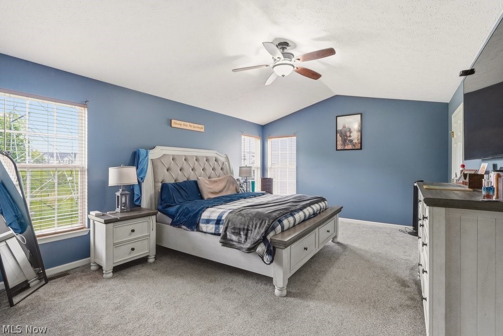 1223 Tinkers Green Drive Streetsboro OH 44241