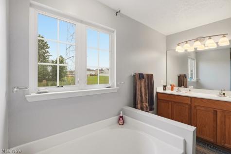 1223 Tinkers Green Drive Streetsboro OH 44241