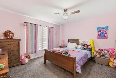 1223 Tinkers Green Drive Streetsboro OH 44241