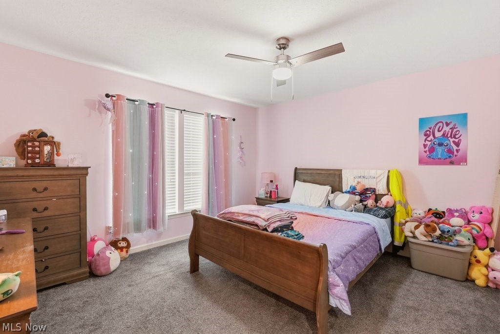 1223 Tinkers Green Drive Streetsboro OH 44241