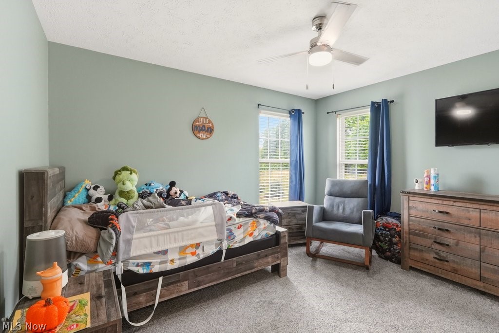 1223 Tinkers Green Drive Streetsboro OH 44241