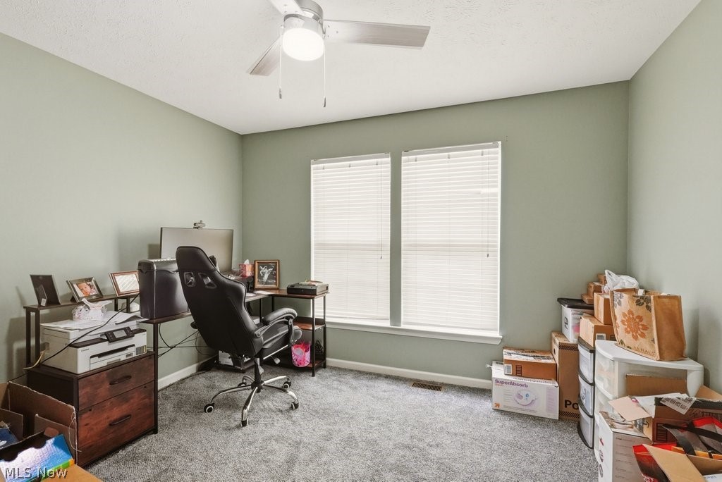 1223 Tinkers Green Drive Streetsboro OH 44241