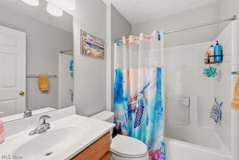 1223 Tinkers Green Drive Streetsboro OH 44241