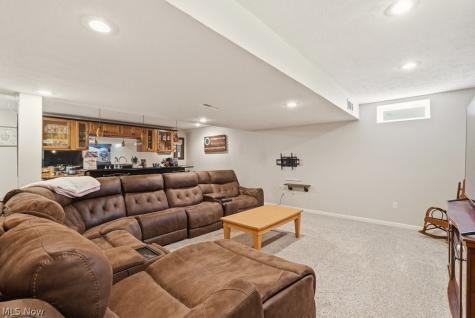 1223 Tinkers Green Drive Streetsboro OH 44241