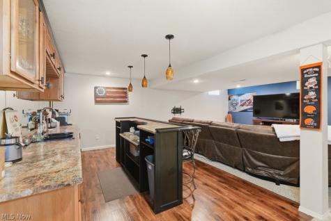 1223 Tinkers Green Drive Streetsboro OH 44241