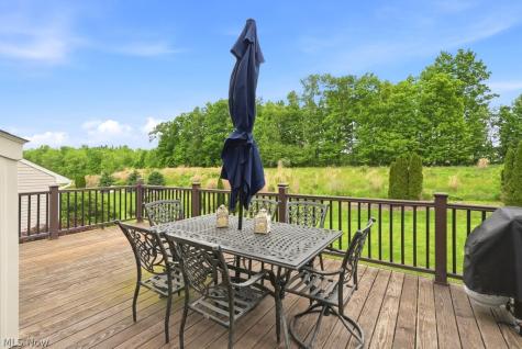 1223 Tinkers Green Drive Streetsboro OH 44241