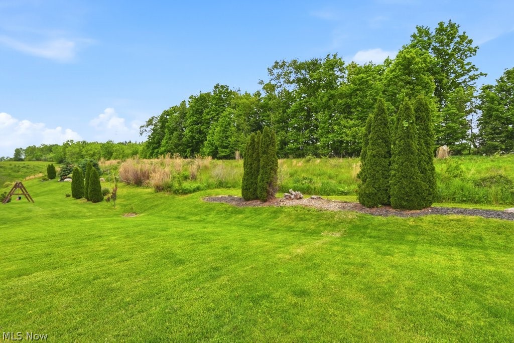 1223 Tinkers Green Drive Streetsboro OH 44241