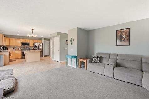 1223 Tinkers Green Drive Streetsboro OH 44241