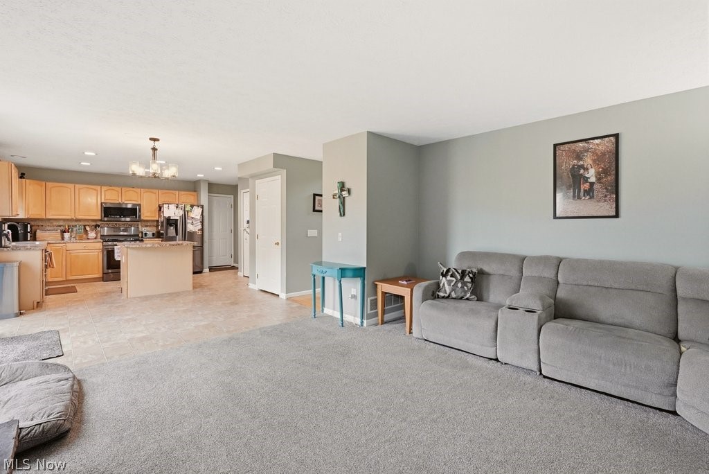 1223 Tinkers Green Drive Streetsboro OH 44241