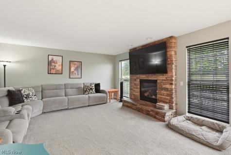 1223 Tinkers Green Drive Streetsboro OH 44241