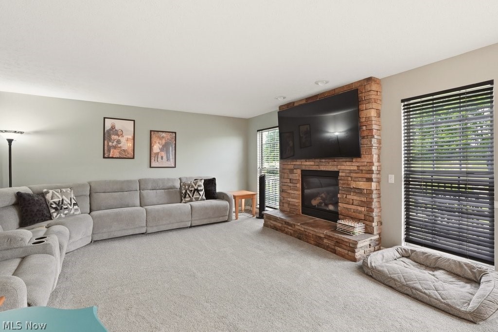1223 Tinkers Green Drive Streetsboro OH 44241