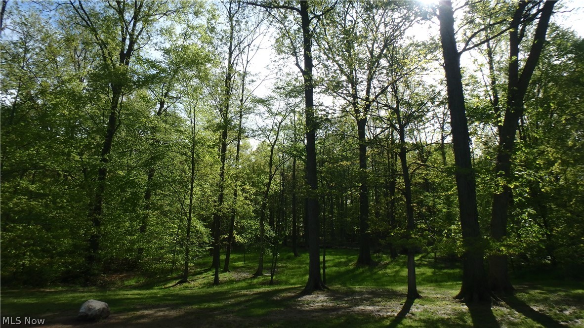 2075 Substation Road Brunswick Hills OH 44212
