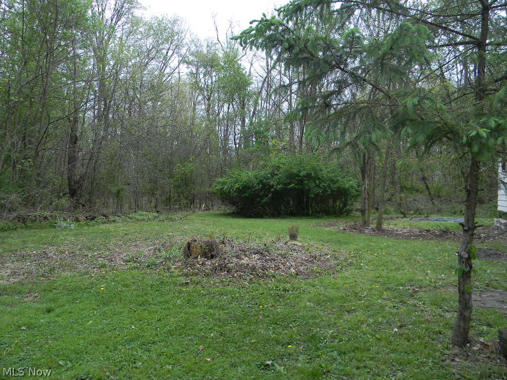 935 Forest Street Niles OH 44446