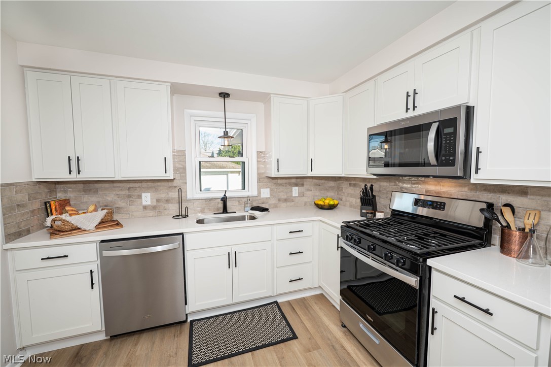 29459 Vinewood Drive Wickliffe OH 44092