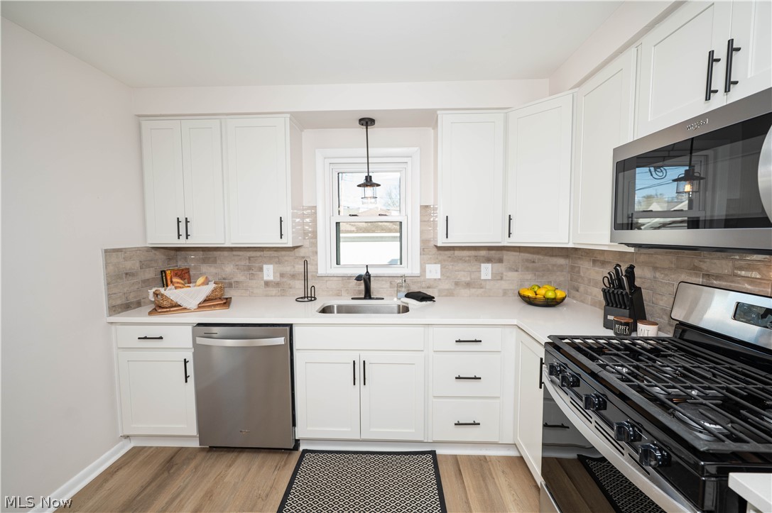 29459 Vinewood Drive Wickliffe OH 44092