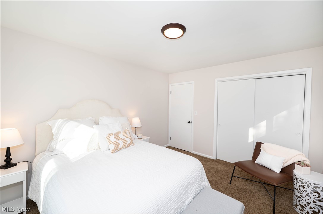 29459 Vinewood Drive Wickliffe OH 44092