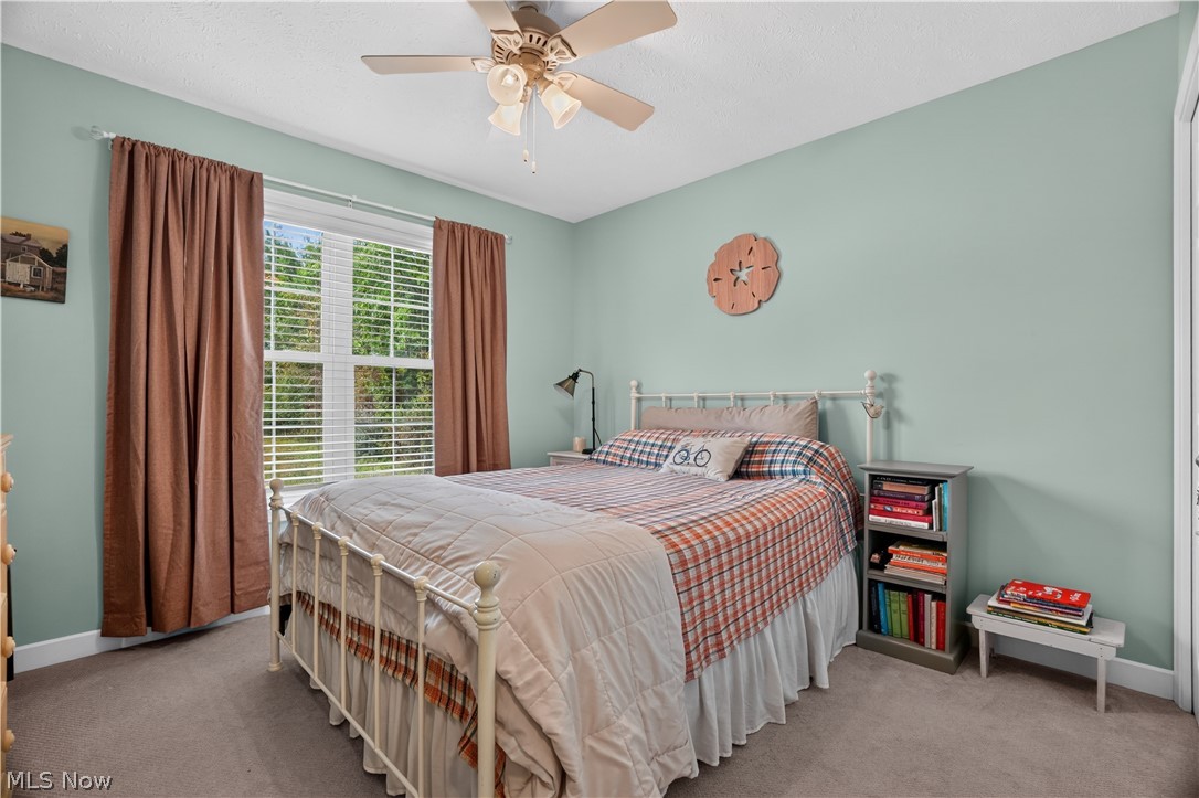 1110 Evening Star Drive Roaming Shores OH 44085