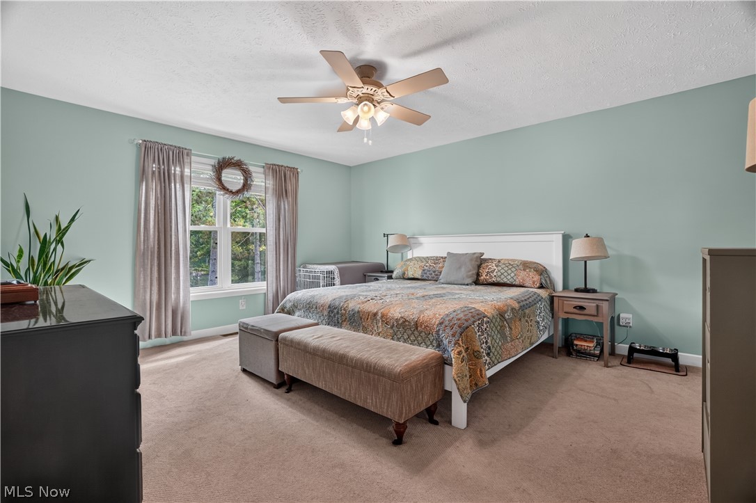 1110 Evening Star Drive Roaming Shores OH 44085