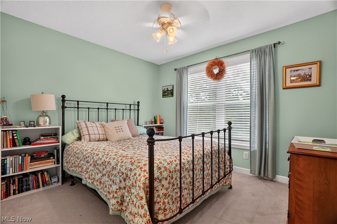 1110 Evening Star Drive Roaming Shores OH 44085