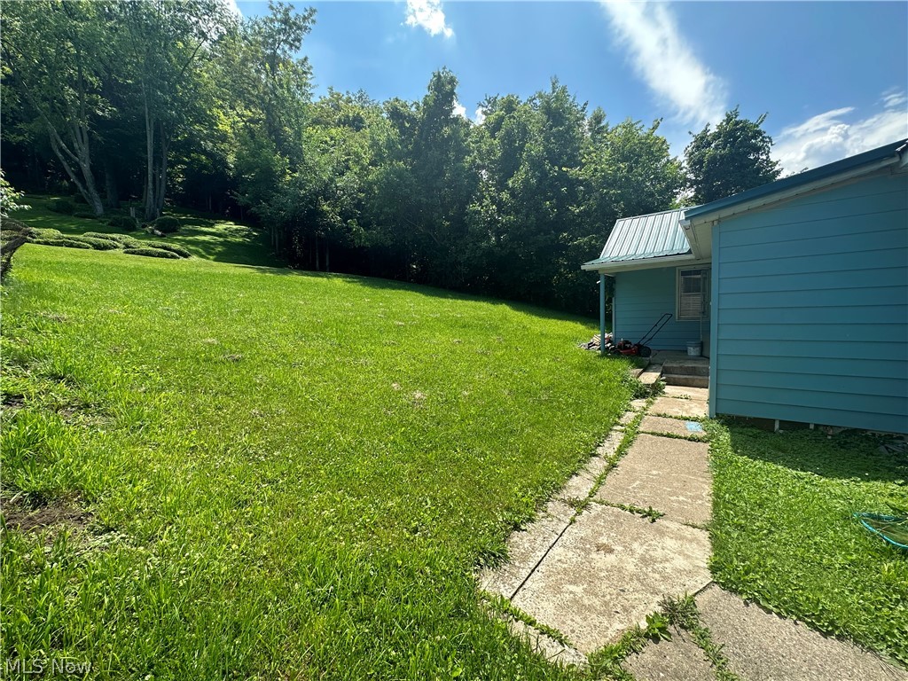 56390 Boyd Avenue Bridgeport OH 43912