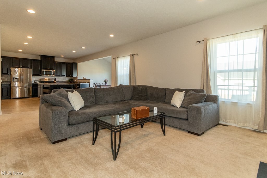 1929 S Ashwood Lane Painesville OH 44077