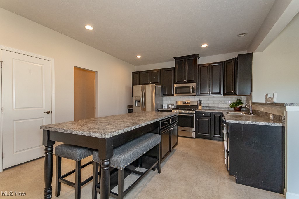 1929 S Ashwood Lane Painesville OH 44077