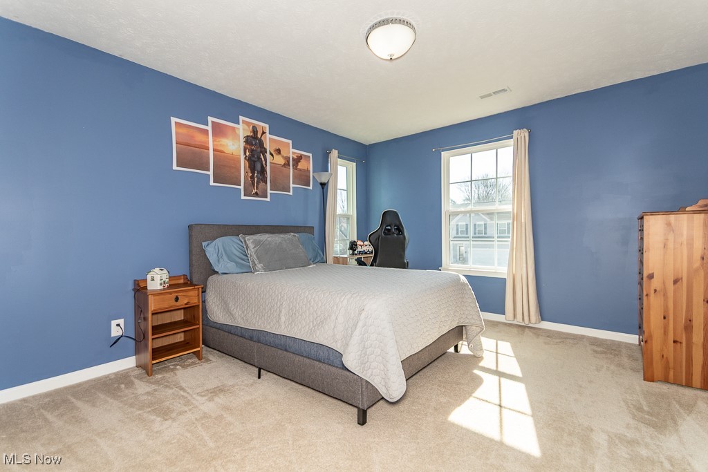 1929 S Ashwood Lane Painesville OH 44077