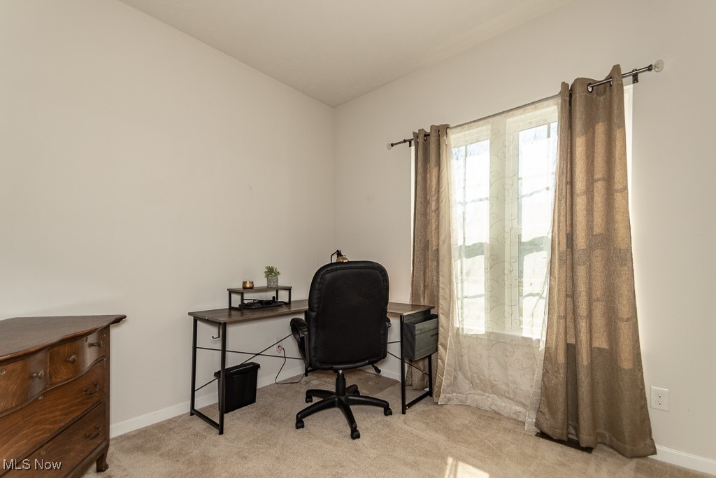 1929 S Ashwood Lane Painesville OH 44077