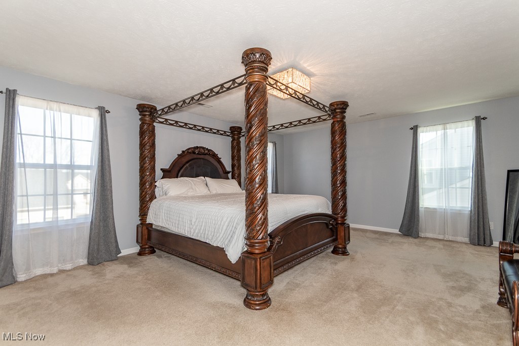 1929 S Ashwood Lane Painesville OH 44077