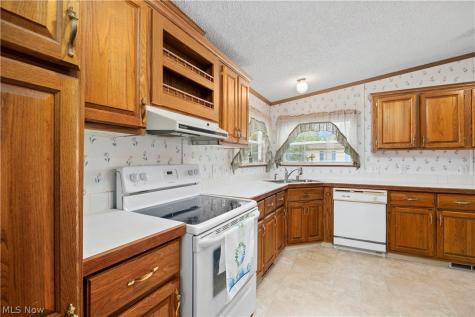 17 Schuberts Alley Olmsted Twp OH 44138