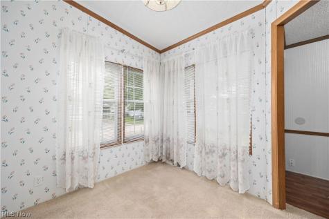 17 Schuberts Alley Olmsted Twp OH 44138