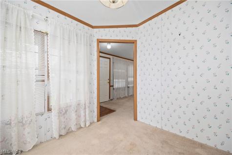 17 Schuberts Alley Olmsted Twp OH 44138