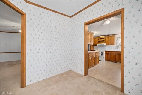 17 Schuberts Alley Olmsted Twp OH 44138