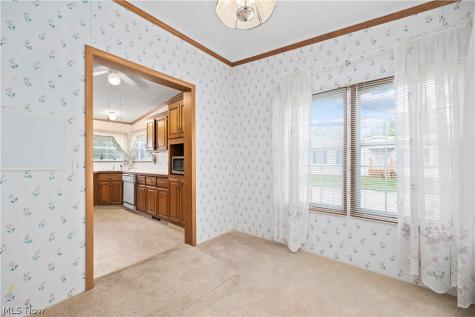 17 Schuberts Alley Olmsted Twp OH 44138