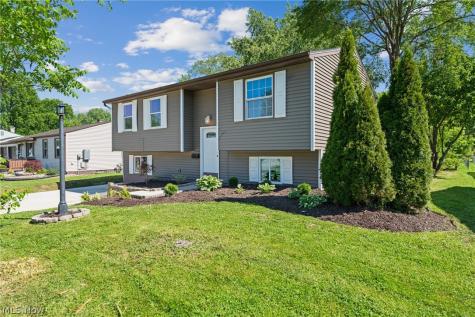 78 Summerberry Lane Niles OH 44446
