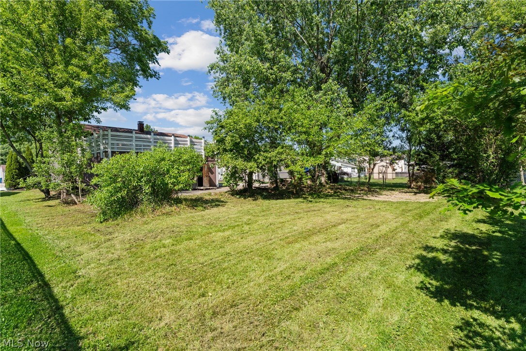 78 Summerberry Lane Niles OH 44446