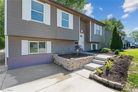 78 Summerberry Lane Niles OH 44446