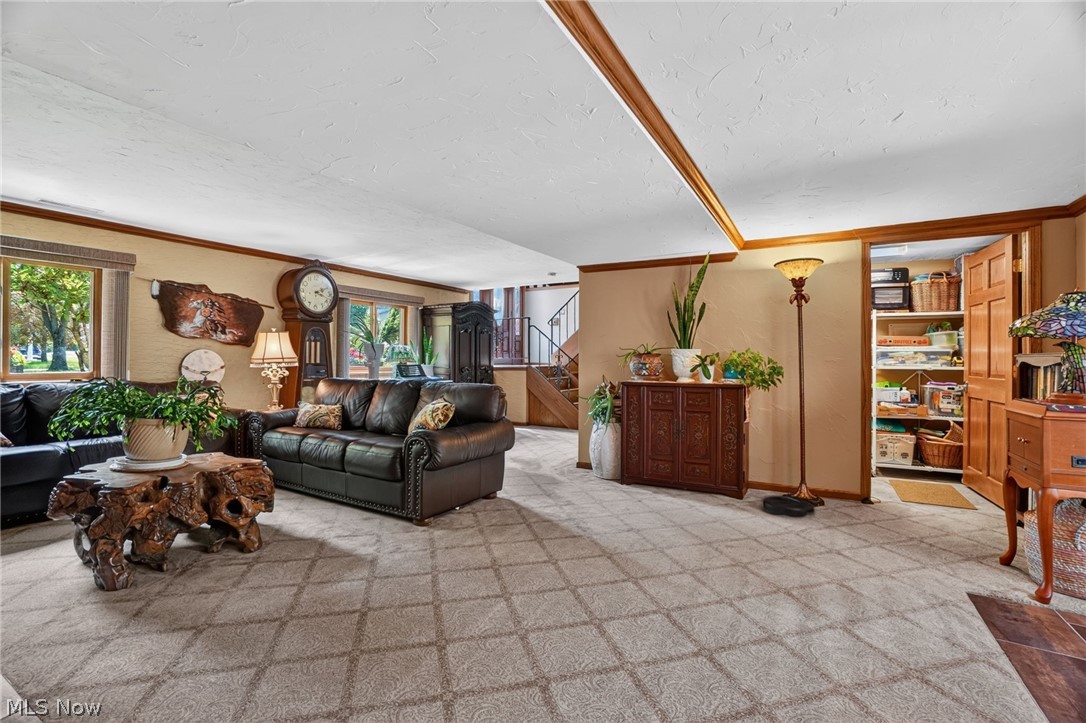 7390 Belvedere Drive Mentor OH 44060
