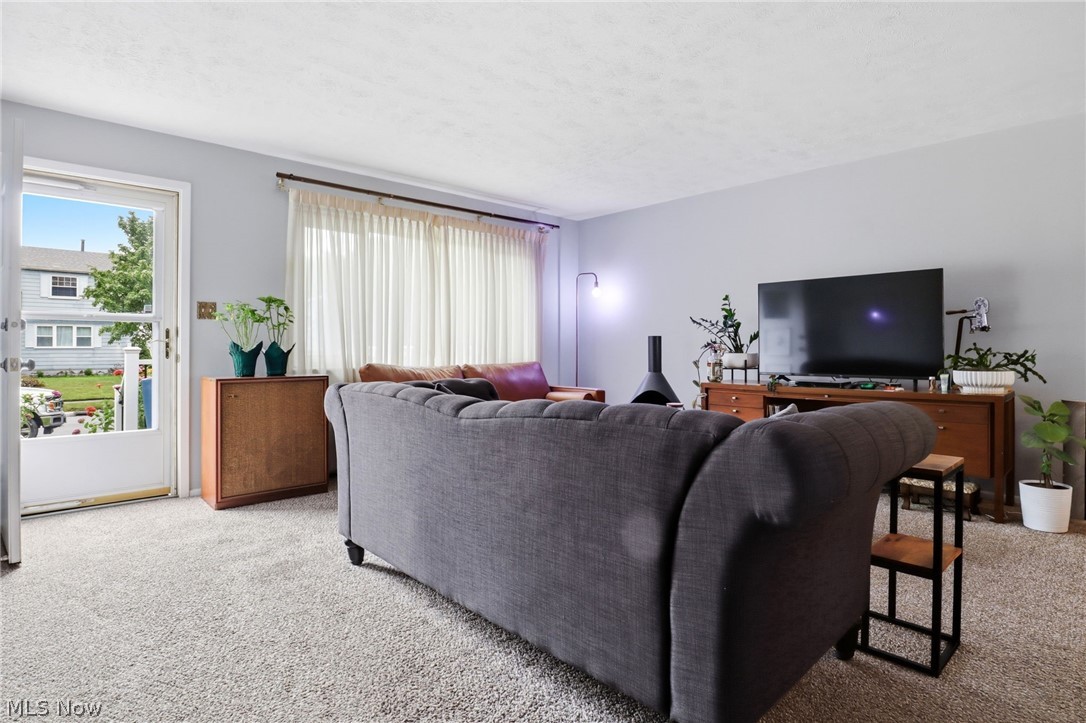 4352 Sky Lane Drive Cleveland OH 44109