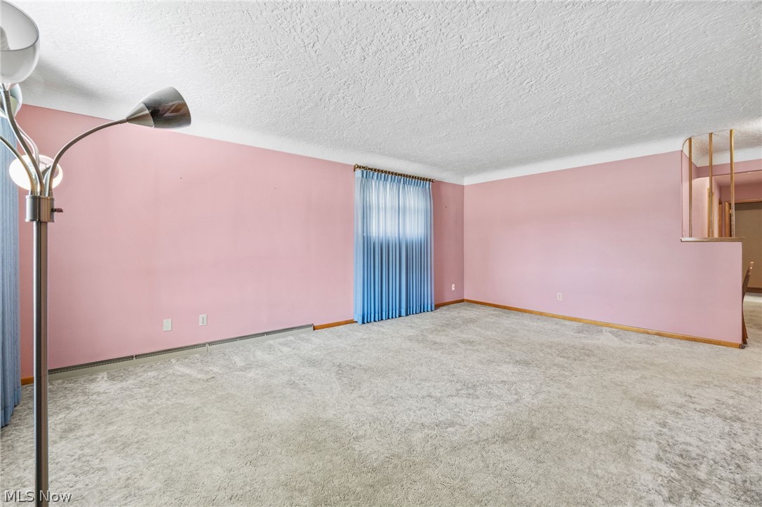 217 Clinton Avenue Akron OH 44301