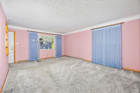 217 Clinton Avenue Akron OH 44301