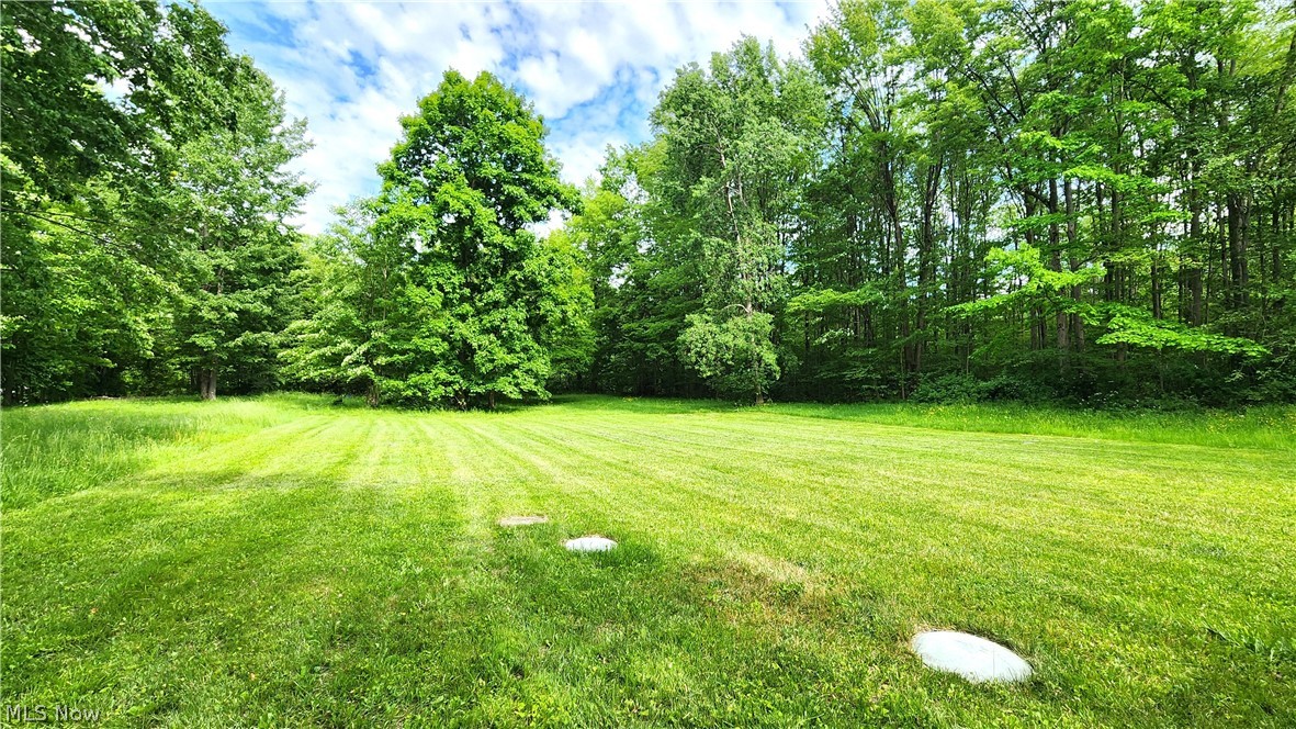 17866 Leggett Road Montville OH 44064