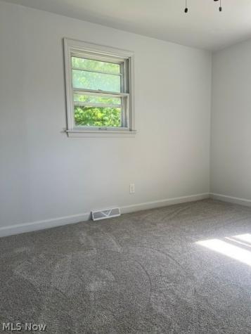 103 Rosemont Youngstown OH 44515