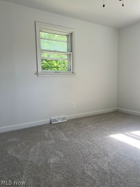 103 Rosemont Youngstown OH 44515