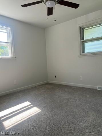 103 Rosemont Youngstown OH 44515