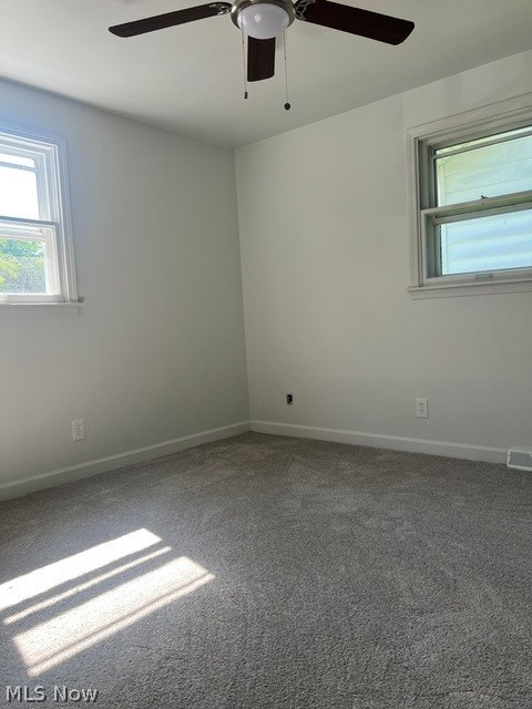 103 Rosemont Youngstown OH 44515