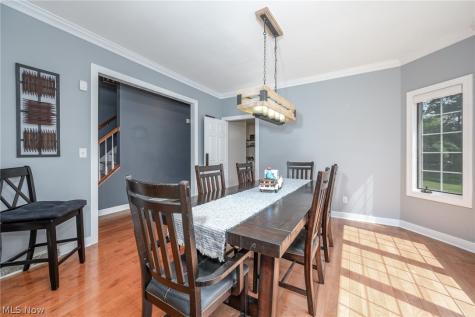 3733 Tamarisk Drive Fairlawn OH 44333