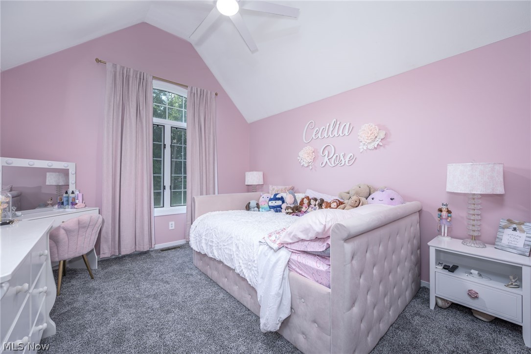 3733 Tamarisk Drive Fairlawn OH 44333