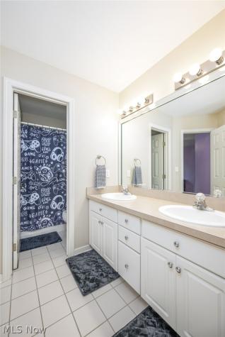 3733 Tamarisk Drive Fairlawn OH 44333