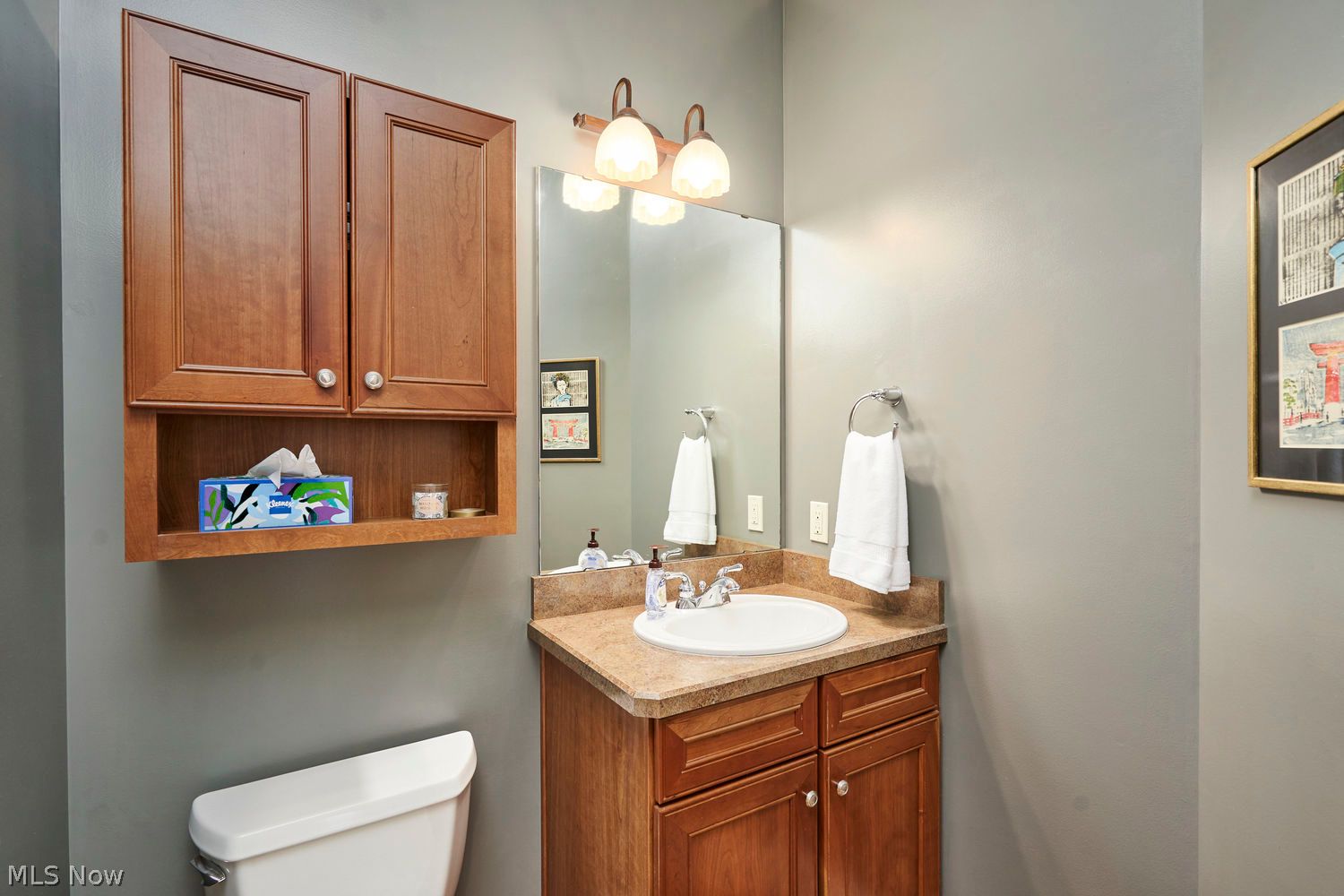 4605 Wakefield Run Boulevard Richfield OH 44286